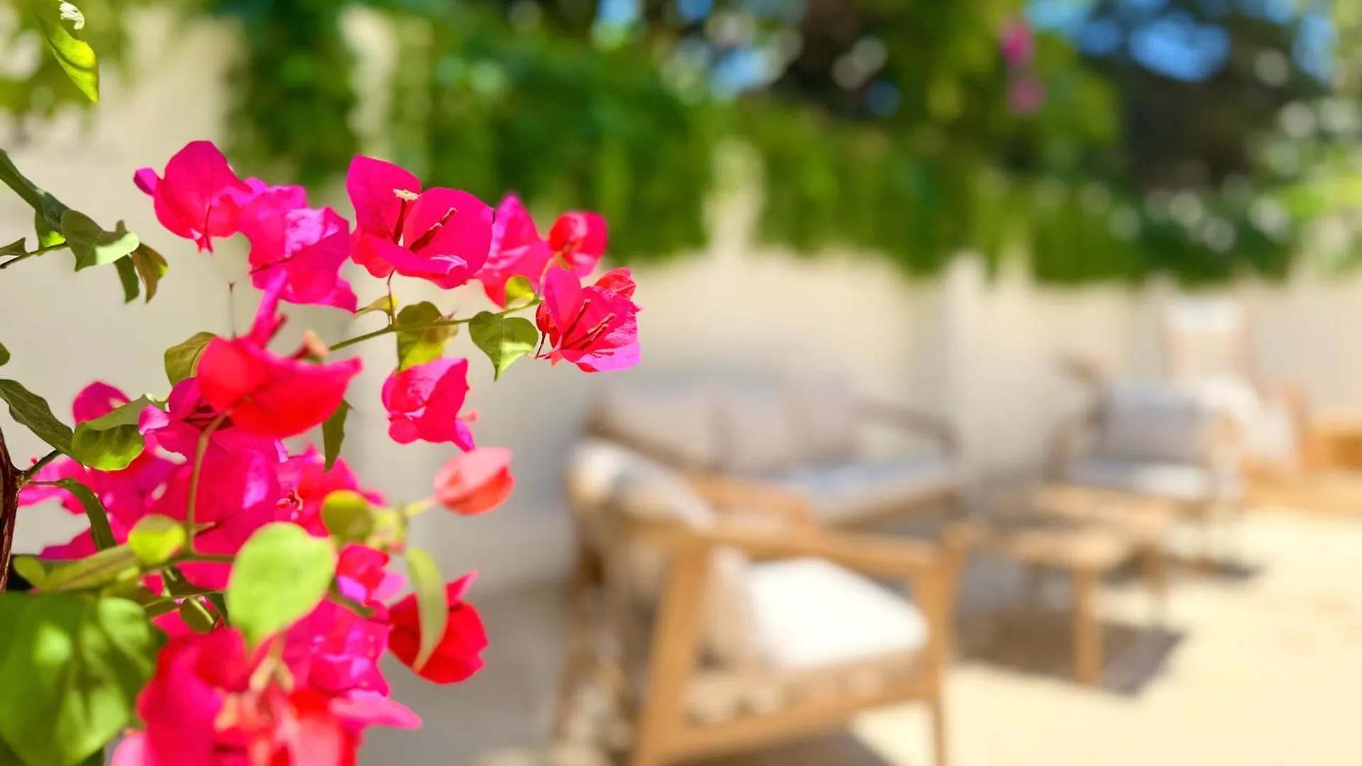 Carbone XXI Bed & Breakfast Catania